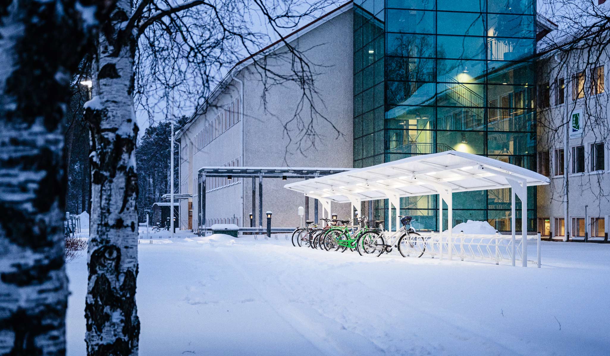 Pyöräkatos talviympäristössä